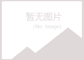 曲沃县初夏咨询有限公司